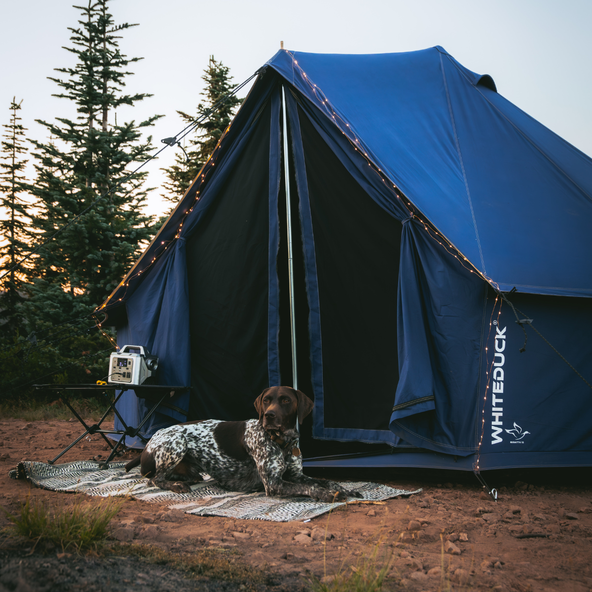Regatta Bell Tent 13' - America's Favorite 4-Season Canvas Bell Tent