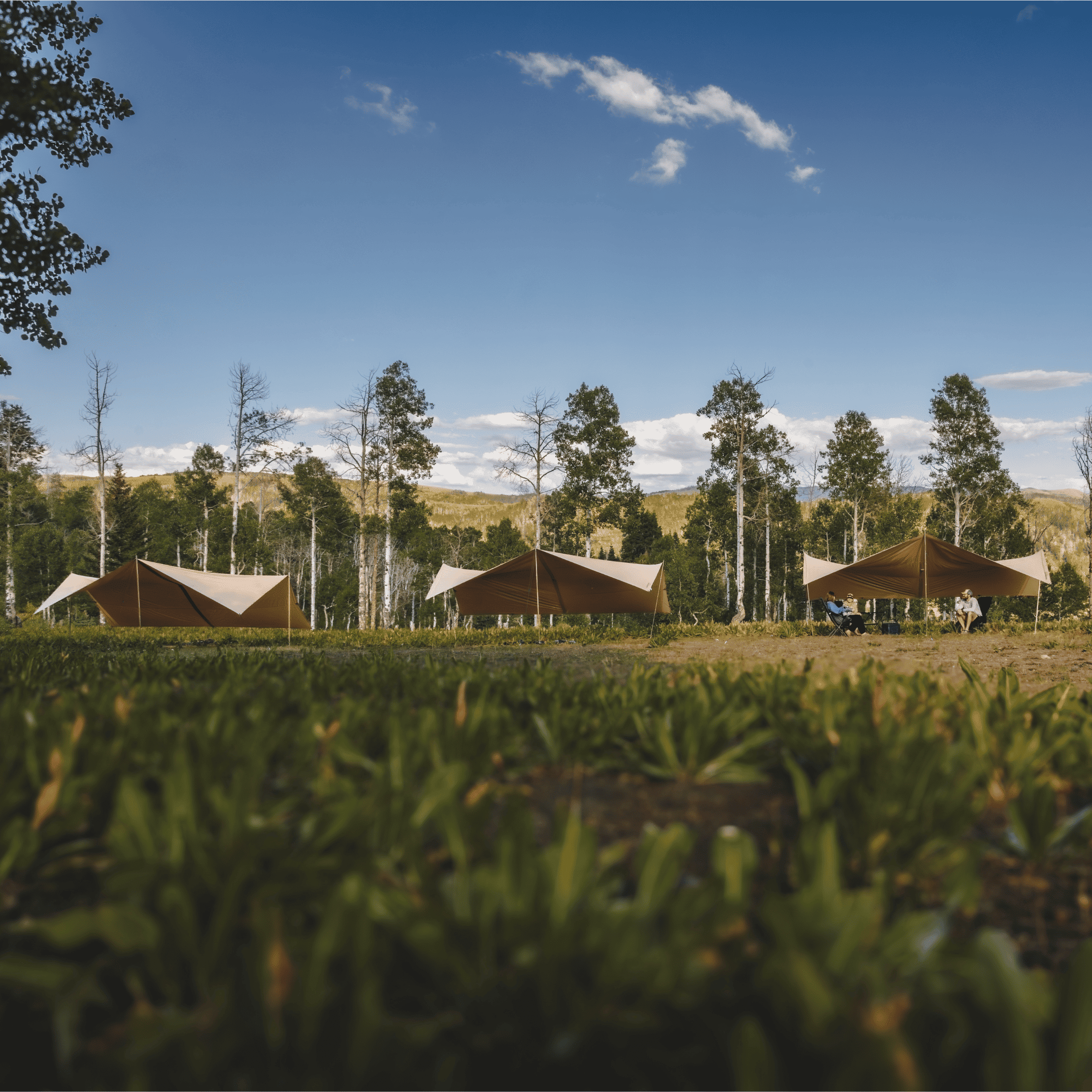 Sunshade Tarp 260 - 13' x 20' Heavy-Duty Canvas Shade for Camping