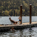 Person sitting in a CLIQ EpiQ lounge chair with two kids and a dog on a dock by a lake with trees in the background