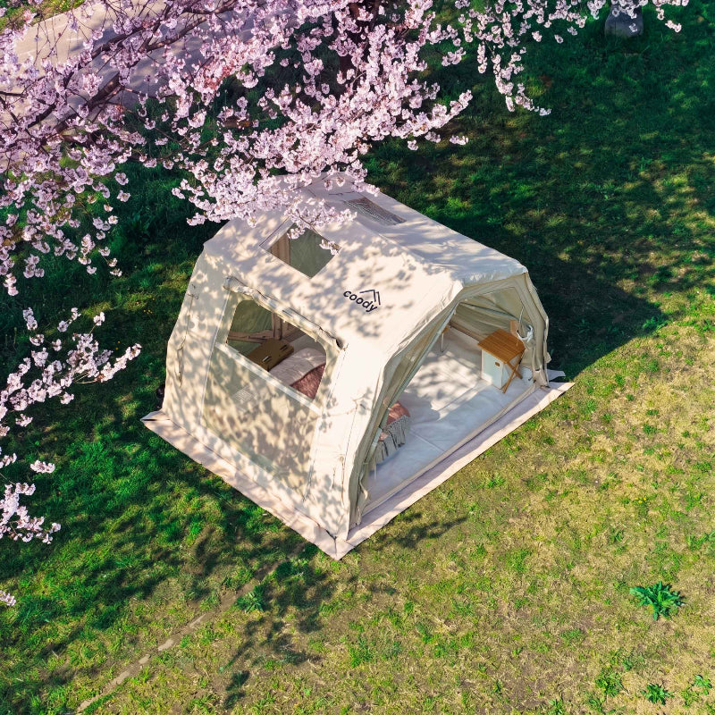 Coody 10.0 Pro in beige arial view