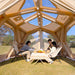 Coody Hub Shelter Pro beige inflatable tent interior view of distinctive leaf-shaped TPU ceiling window.