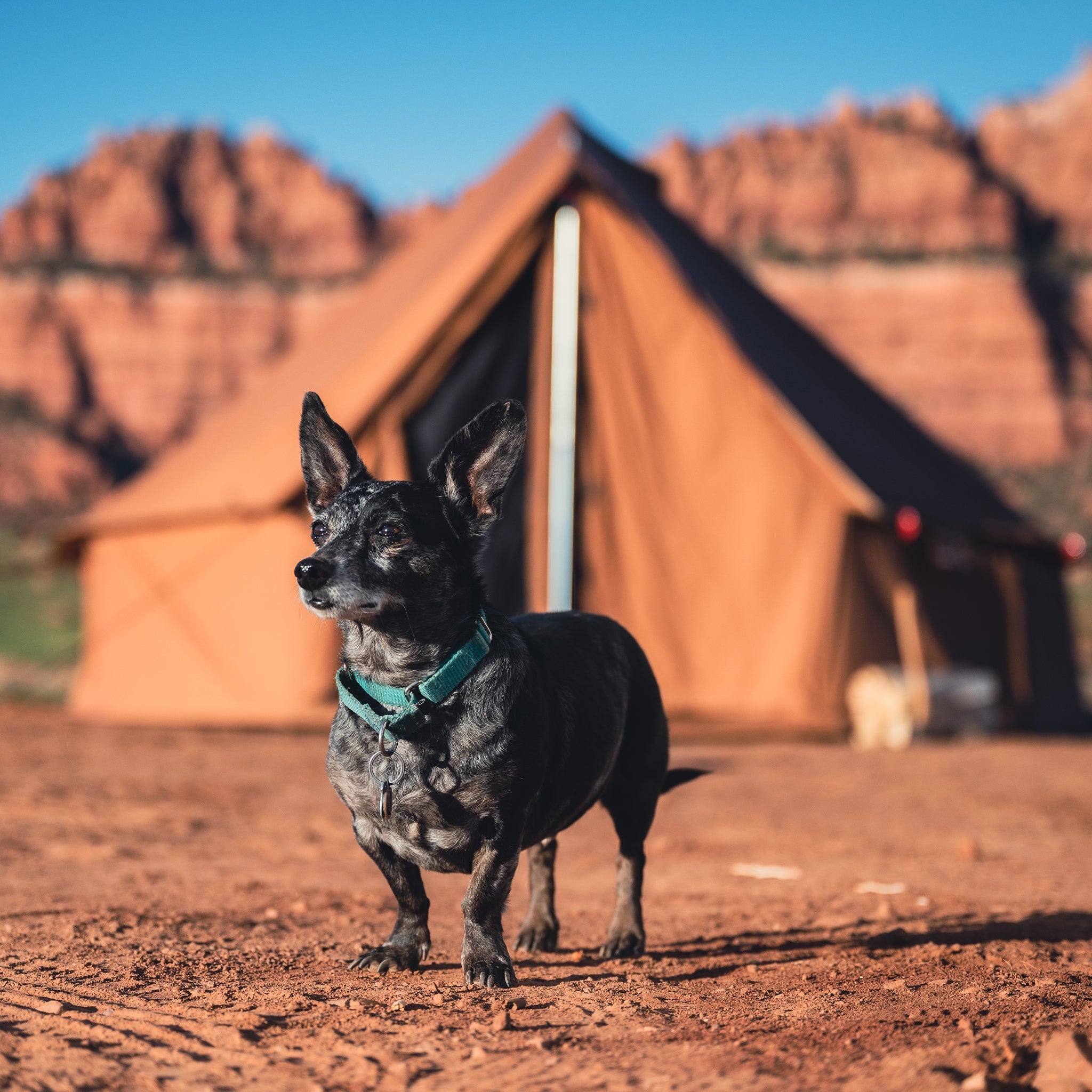 Regatta Bell Tent 13' - America's Favorite 4-Season Canvas Bell Tent