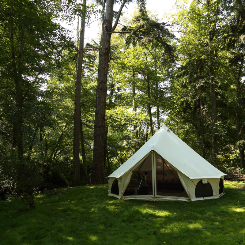 Avalon Bell Tent 16.5' - Premium 4-Season Canvas Bell Tent with Luxury Features