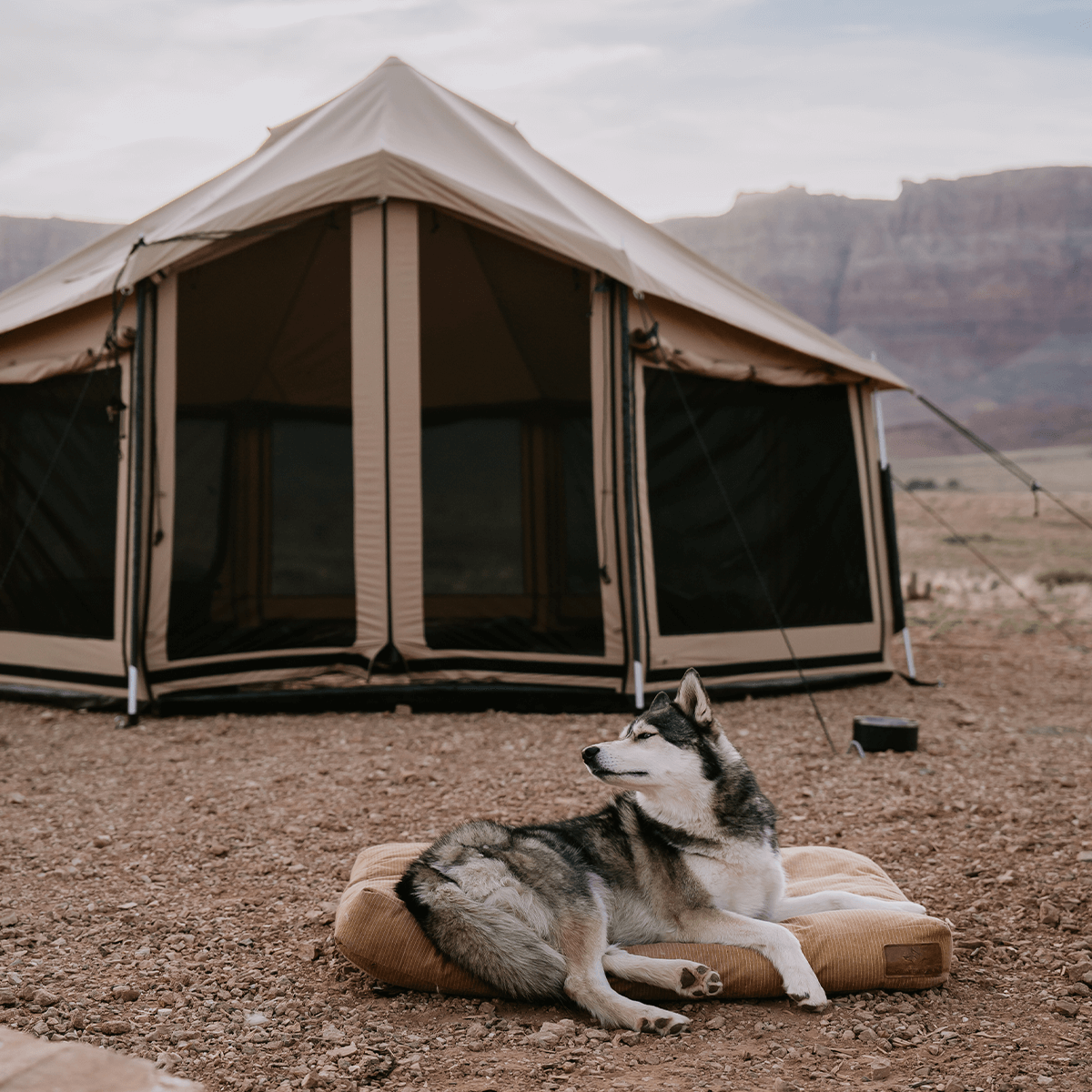 Altimus Bell Tent 14' - 4-Season Canvas Tent with Stove Jack & AC Port